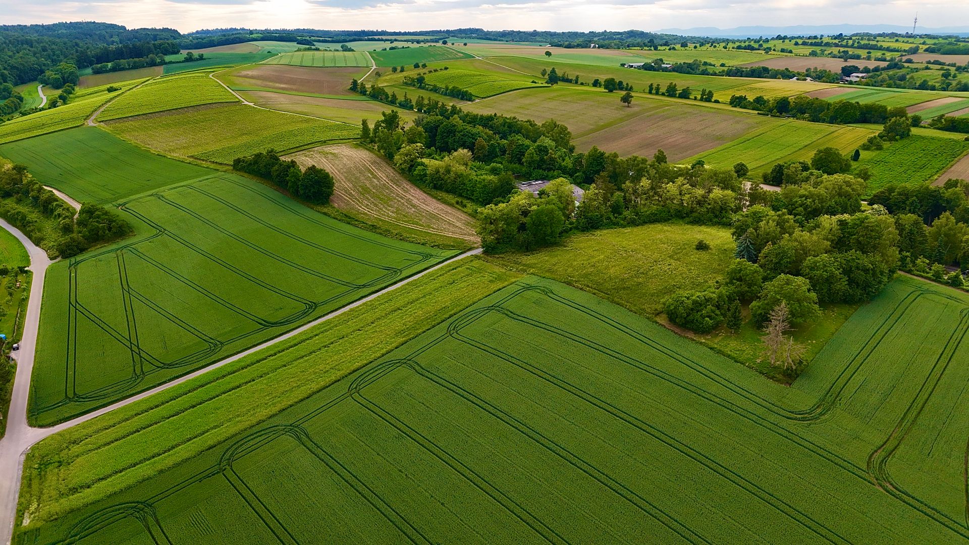 Aerial photography of large undeveloped acreage with tree lines and open fields